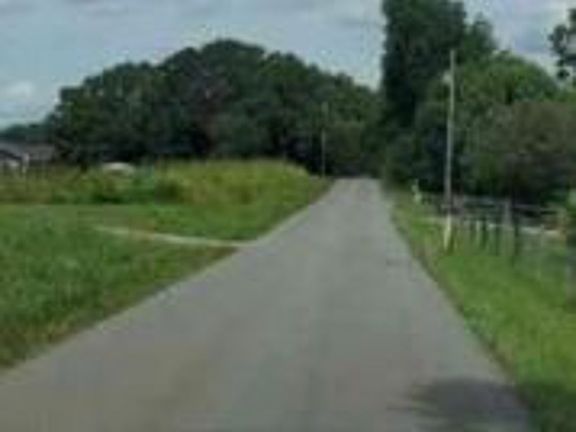 Exterior Neighborhood (street photo)