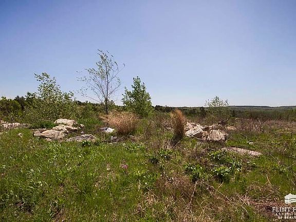 2nd image of 2503 Ardmore Cir