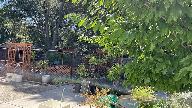 1240 Oak Knoll Dr — Photo 20