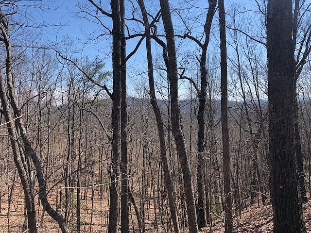 1st image of 2-2B2 Sassafras Dr