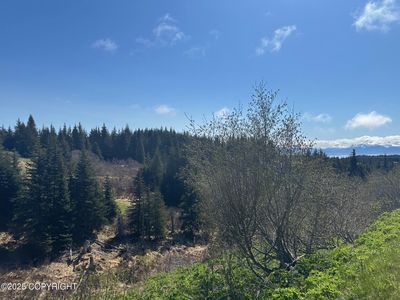 64370 Diamond Ridge Rd, Homer, AK, 99603