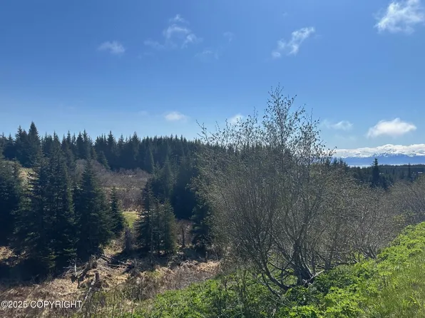 64370 Diamond Ridge Rd, Homer, AK 99603
