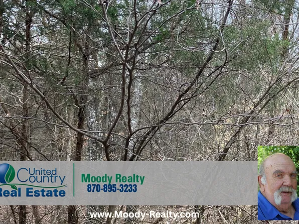 Ridgeline Rd, Evening Shade, AR 72532