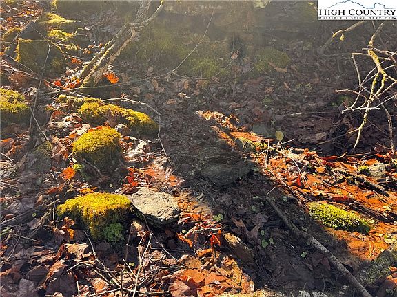 5th image of TBD Horse Bottom Road