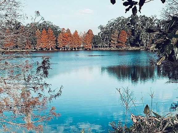 5th image of 974 Lake Brim Dr