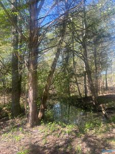 7235 County Road 113, Centre, AL, 35960