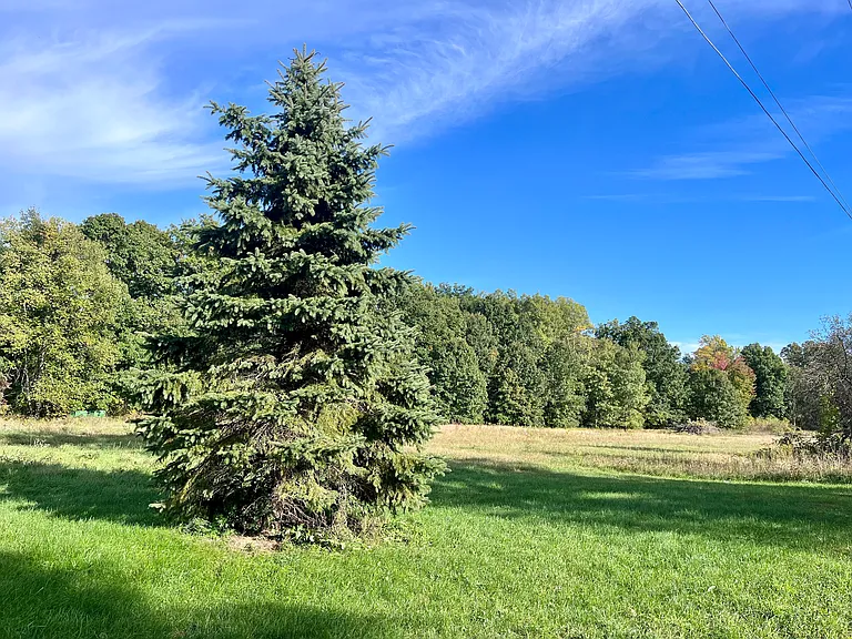 1481 E Rose Center Rd — Photo 8