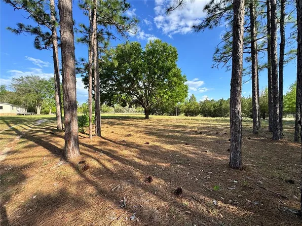 4551 NE 132nd Ct, Williston, FL 32696