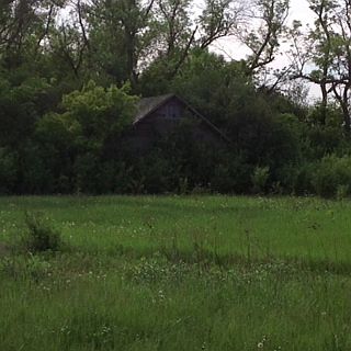 3rd image of 31285 County Road 12