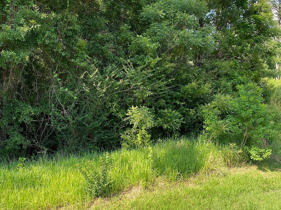 1st image of 51 Steelwood Ridge Rd