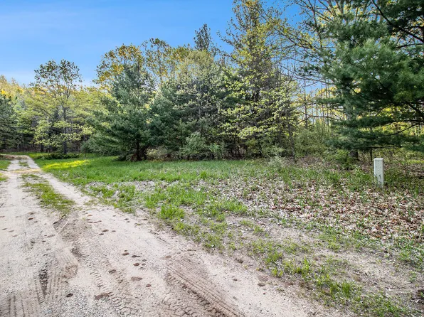 PARCEL Birchmere Rd #A, Mears, MI 49436
