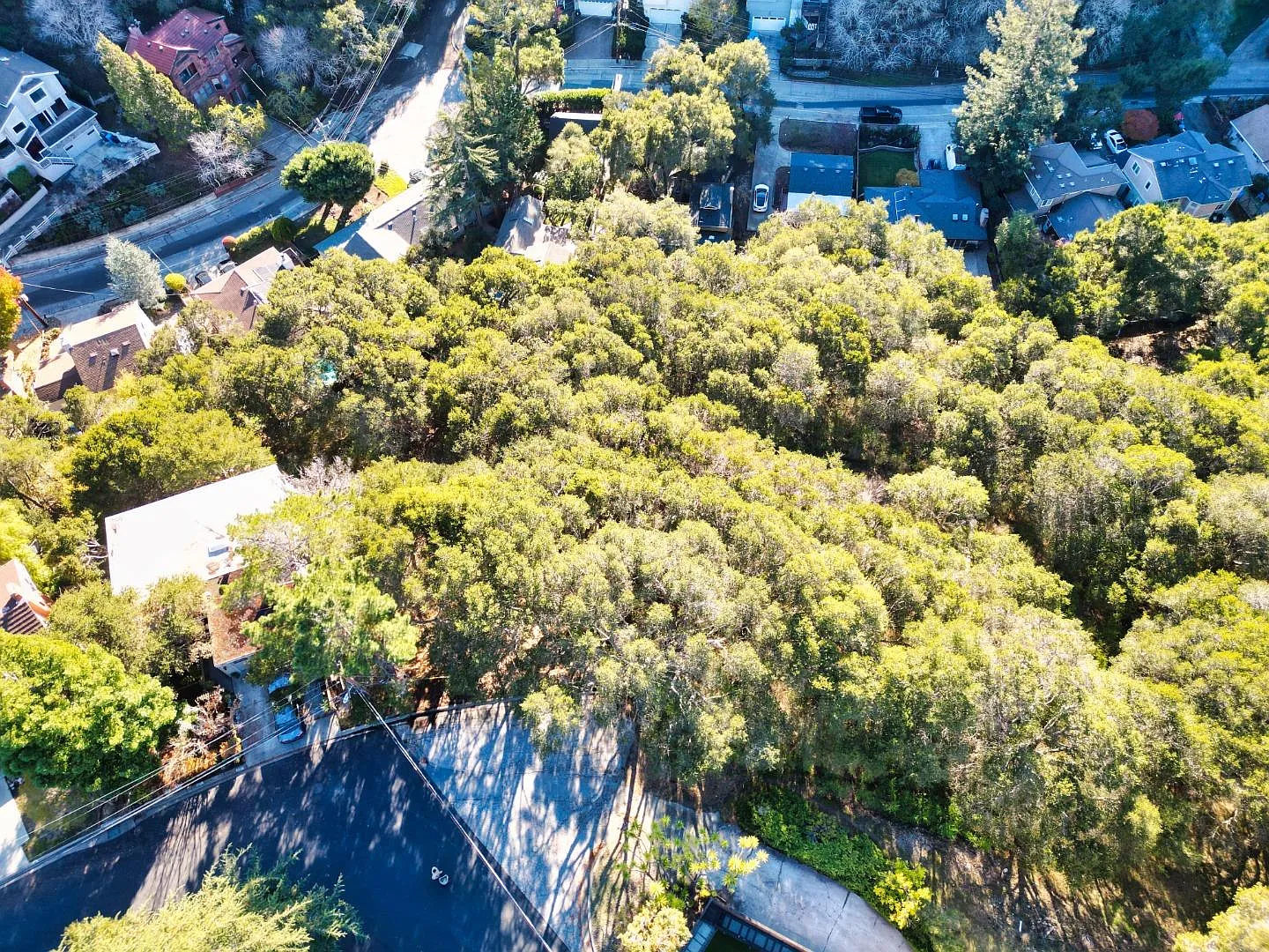 0 San Ardo Way photo 1