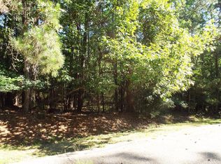 10 Helena Ct, Coldspring, TX 77331