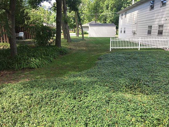 Yard Area