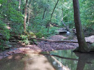 245 Spring Lake Ln, Saint Joe, AR 72675