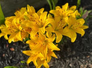 3923 Atlantic Brigantine Blvd #A, Brigantine, NJ 08203