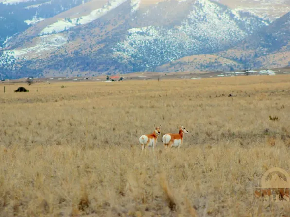 Blackhawk Dr, Livingston, MT 59047