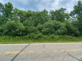 Clay St, Thompson, OH 44086