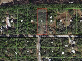 10449 W Dublin St, Crystal River, FL 34428
