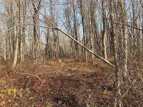 11 Pleasant Hill Lane