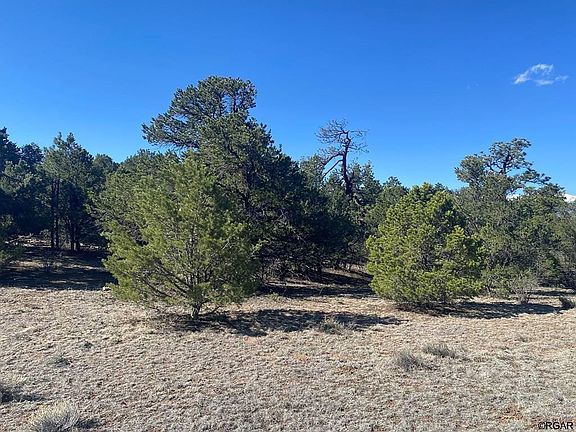 5th image of 1834 Texas Creek Ln