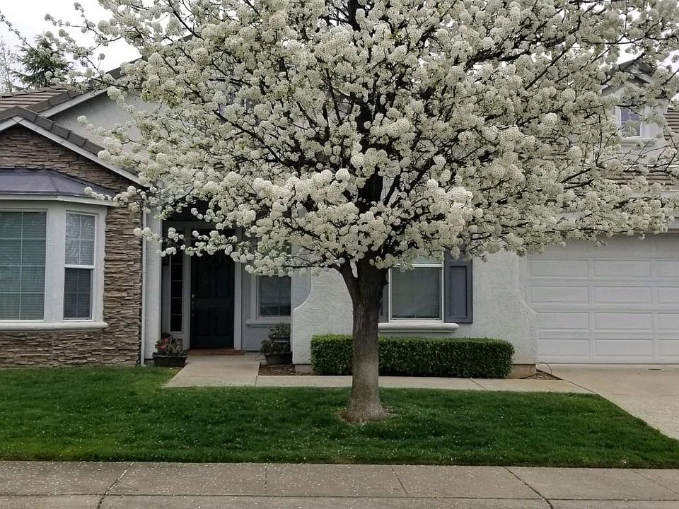 April 1st