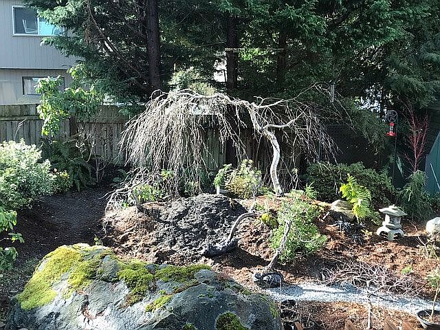 2nd image of 2002 173rd St SE