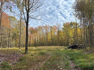 11611 Washington St, Chagrin Falls, OH 44023