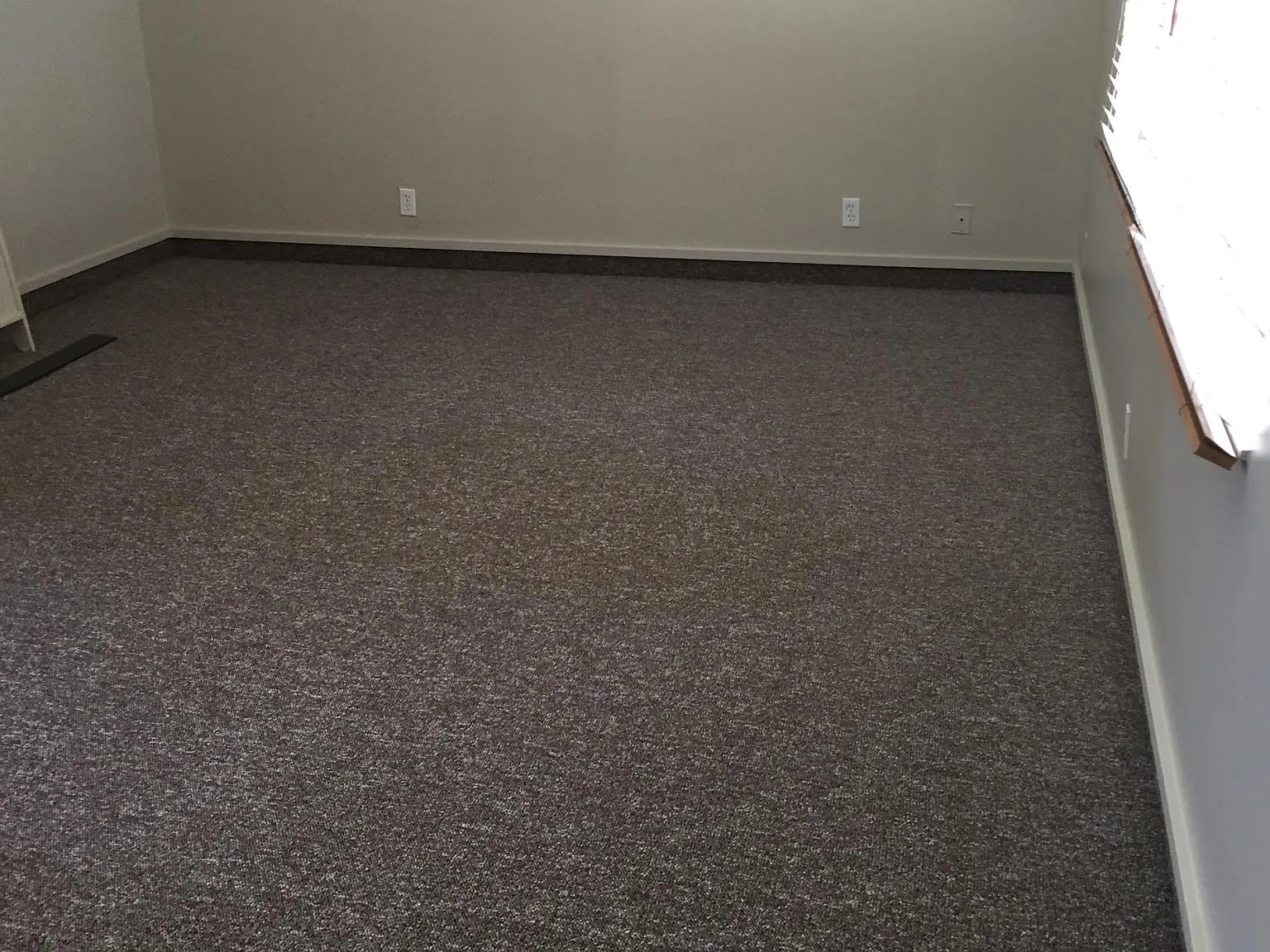 1 bed, 700 sqft, $1,350 — Photo 4