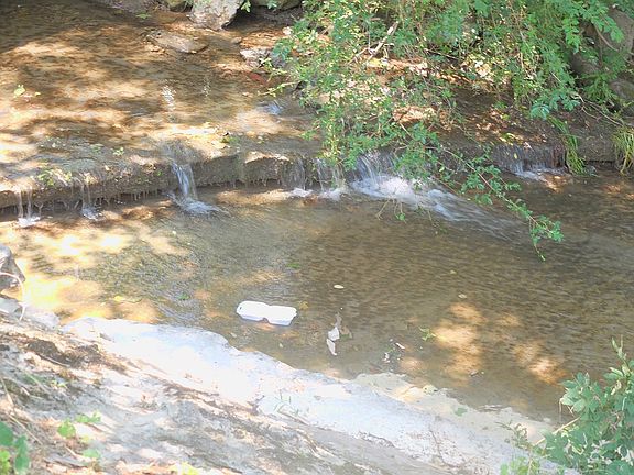 5th image of 195 Baugh Hollow Ln