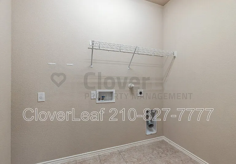 3734 Ox Eye Daisy — Photo 38
