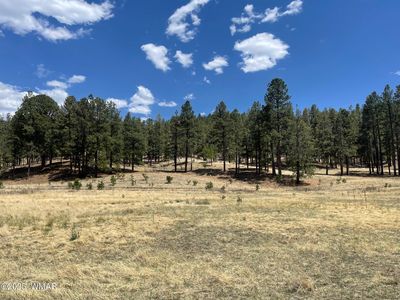 County Road N2275, Nutrioso, AZ, 85932