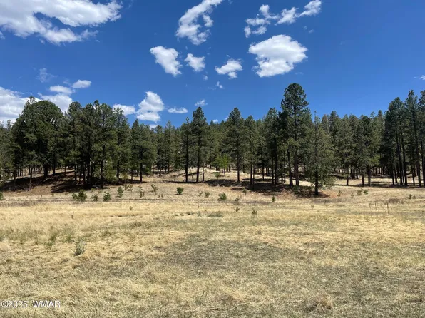 County Road N2275, Nutrioso, AZ 85932