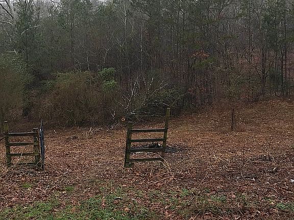 Fenced Back Yard with Gate