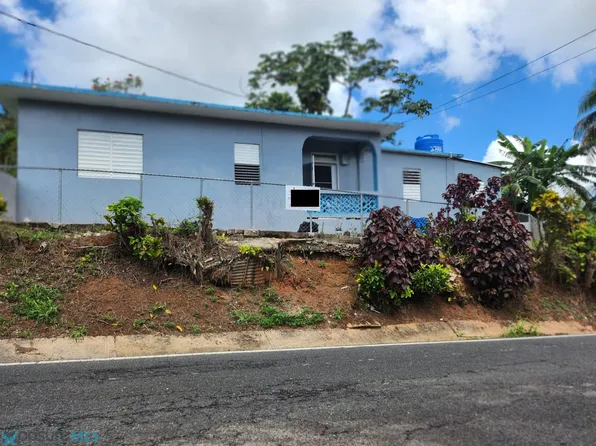 Km 23.4 Carretera #128, Lares, PR 00669