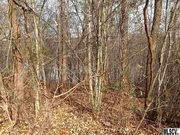 3rd image of 5888 Wood Duck Way #16