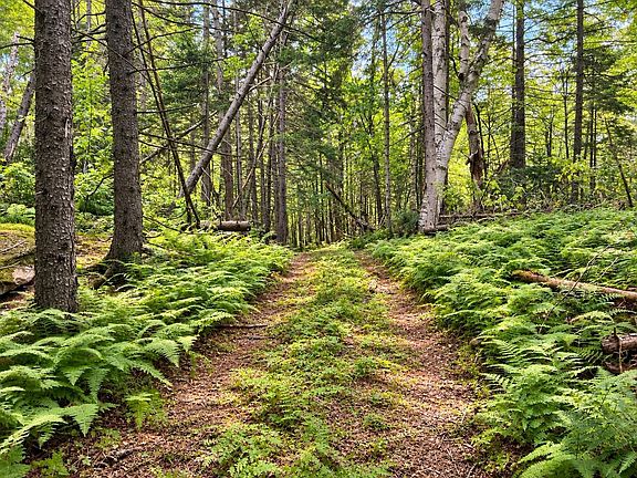 5th image of 00 Lakota Road