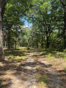 0 Straughn School, Andalusia, AL, 36421