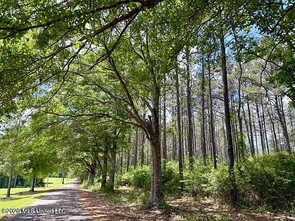 2nd image of 0 Old State Line Rd
