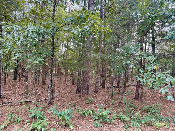 5 & 6 Ellen Ln, Higden, AR 72067