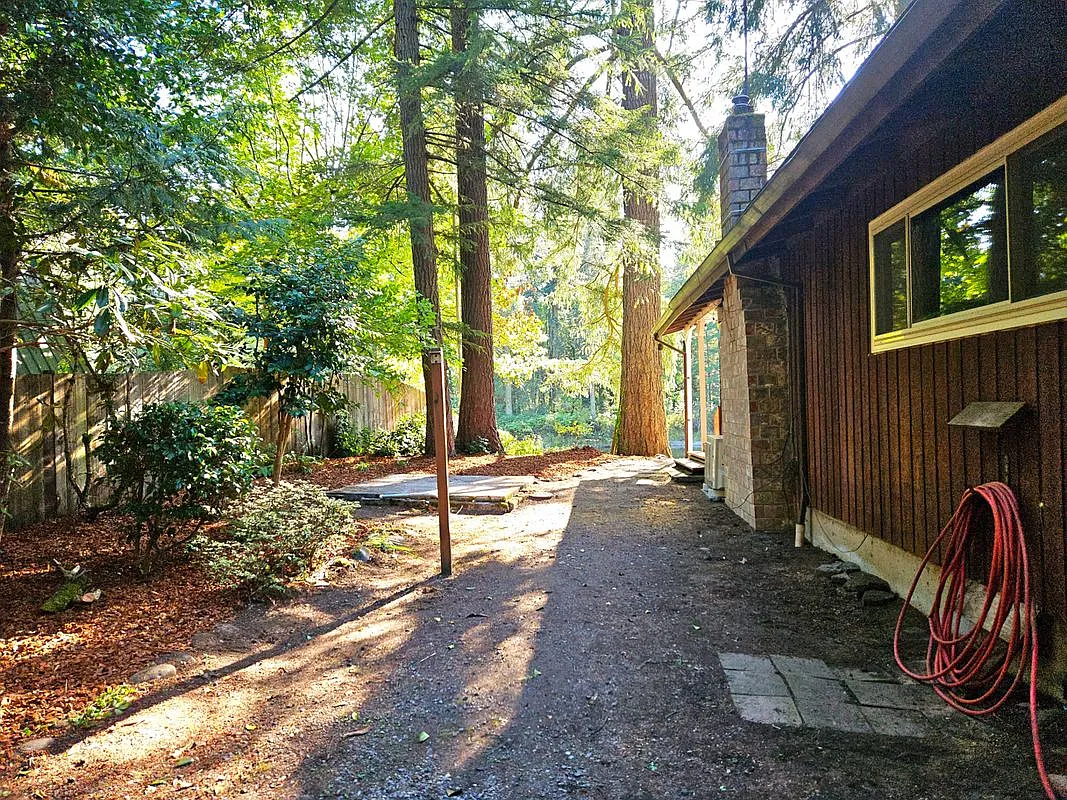 2 bed, 1.0 bath, 946 sqft, $2,100 — Photo 2