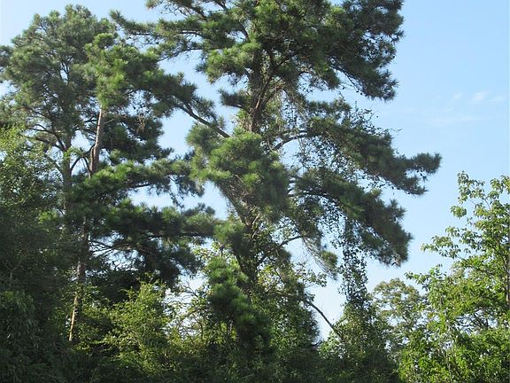 3rd image of Tbd Highway 190 E