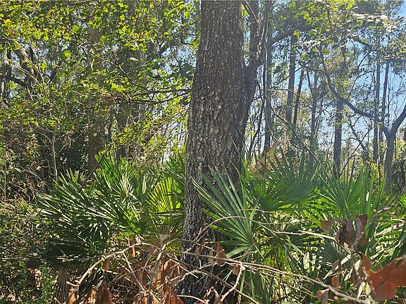 4th image of 304 Burford Rd