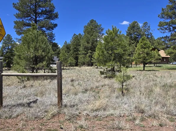2335 S Ash Ln, Flagstaff, AZ 86004