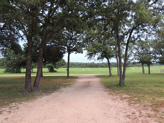 View from front porch.