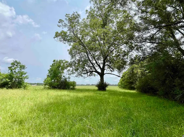5 Hokaday Rd, Slaughter, LA 70777