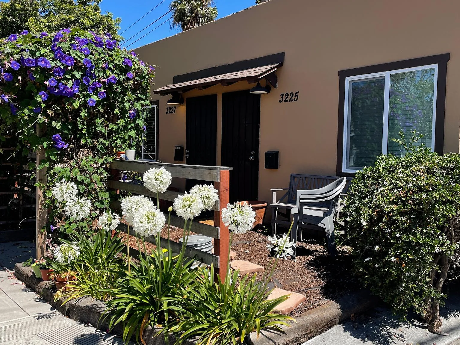 Studio, 230 sqft, $1,600 — Photo 1