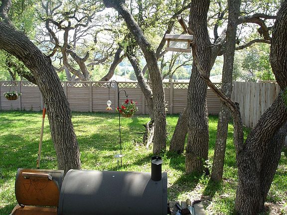 Mature trees