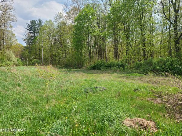 125 Dry Run Rd, Lamar, PA 16848