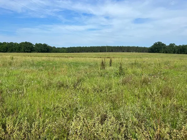 LOT 3/j Saunders, Dothan, AL 36305